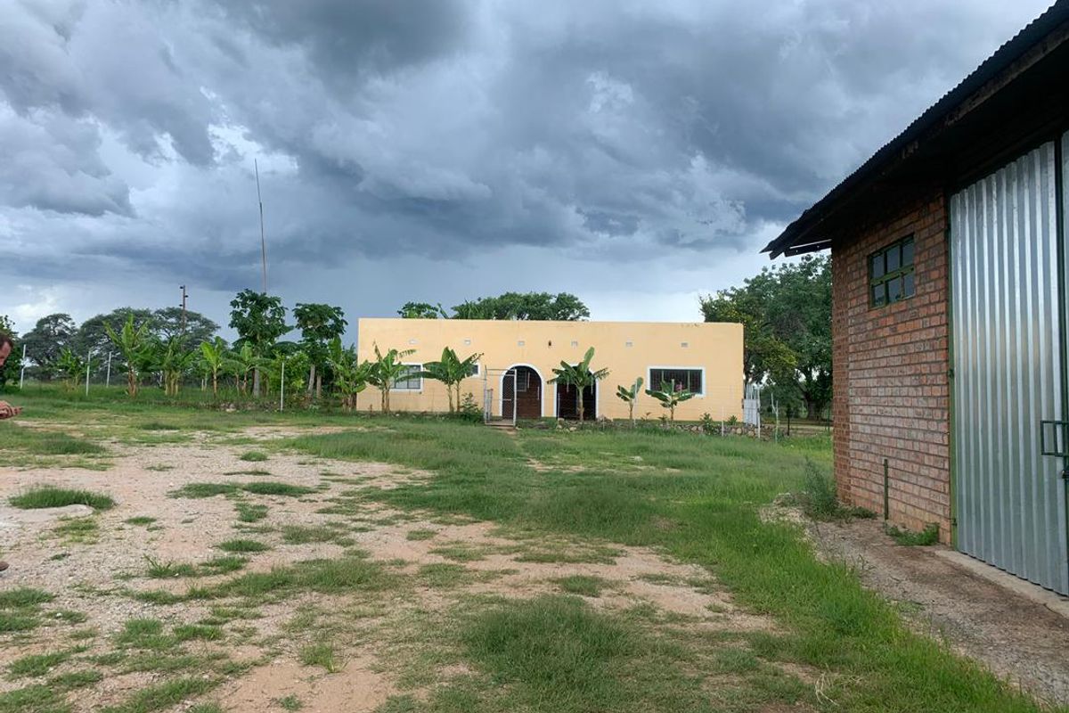 Well established game / hunting farm, Otavi - Photo 4