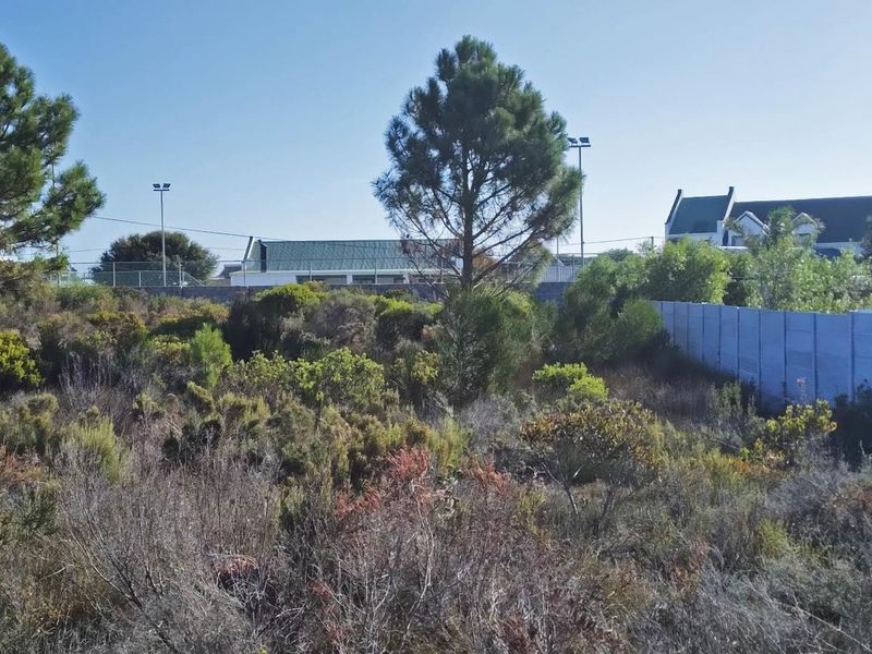 Level Stand, Lagoon Nearby, Lifestyle Sorted. - Photo 4