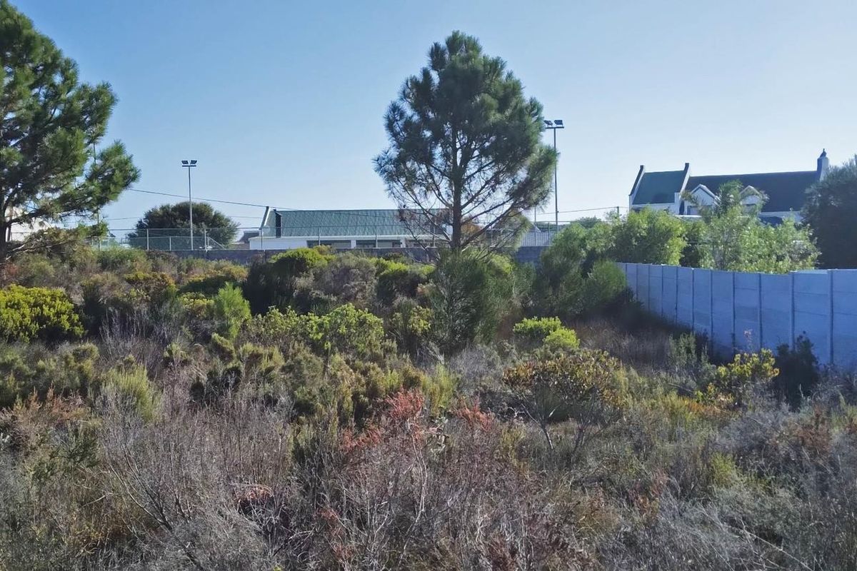 Level Stand, Lagoon Nearby, Lifestyle Sorted. - Photo 4