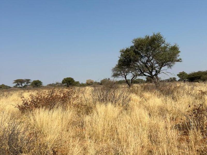 Phase 3 Omuramba Now selling! - Photo 2