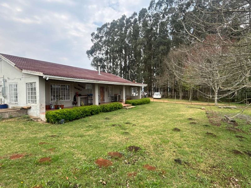 Rear view of a single-story house featuring a covered patio, tiled roof, and security bars, set on a large grassy plot with mature trees.