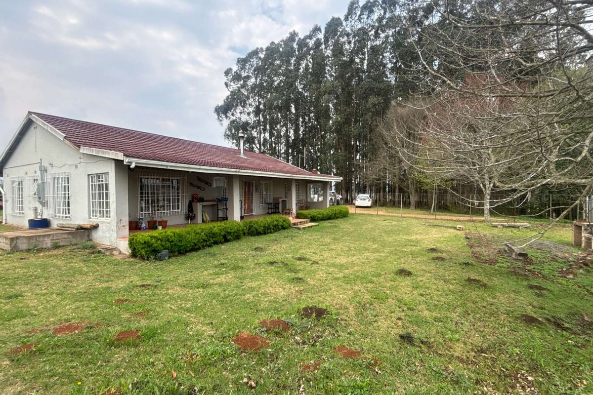 Rear view of a single-story house featuring a covered patio, tiled roof, and security bars, set on a large grassy plot with mature trees.