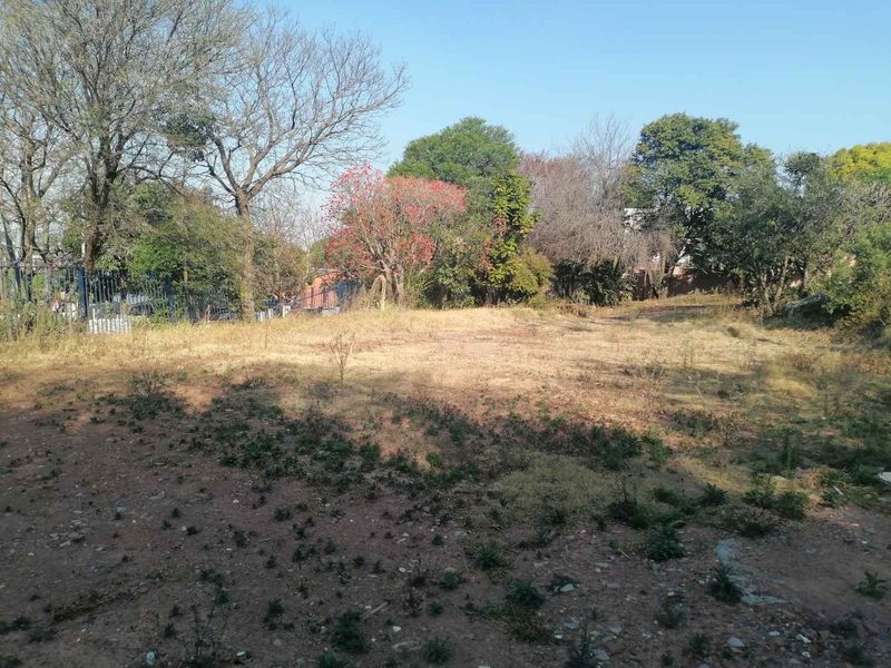 A vacant residential plot featuring established trees and perimeter fencing, offering a clear space ready for development.