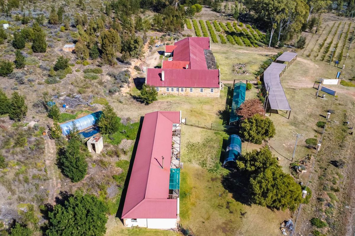 Own a Landmark Lifestyle Farm on Route 62 – Misgund, Langkloof (10.38 ha) - Photo 4