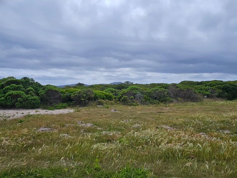 Exceptional Vacant Land for Sale in Pearly Beach - Photo 3