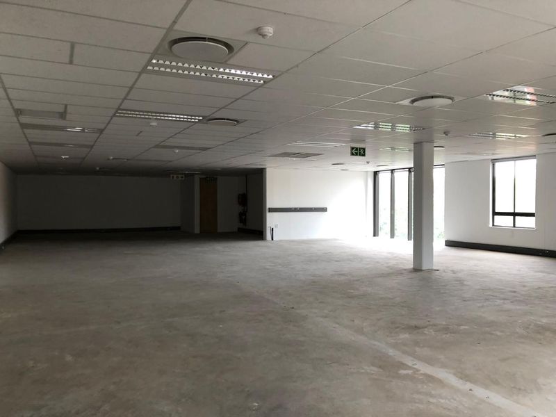 A spacious, open-plan office area featuring a suspended ceiling with recessed lighting, large windows for natural light, and an unfinished concrete floor.