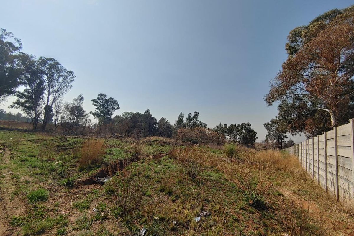 A view of the vacant commercial land featuring a precast concrete boundary wall and established trees on the perimeter.