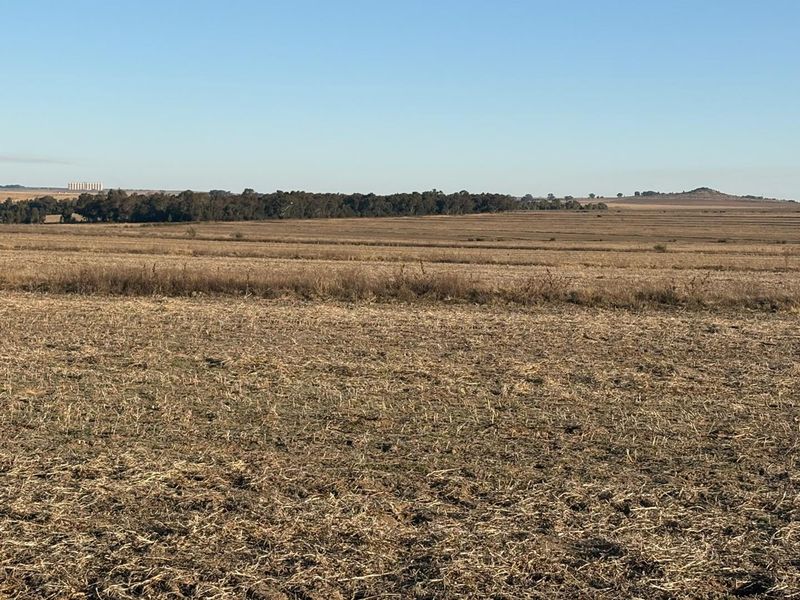 Expansive view of open agricultural farmland and fields under a clear blue sky.