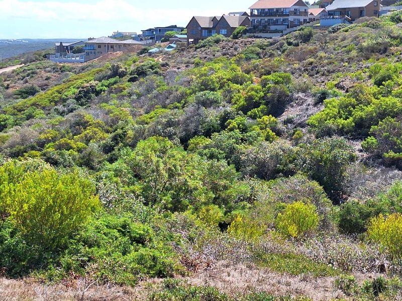 Prime Coastal Canvas: 990m2 with Unobstructed Ocean Views - Photo 5