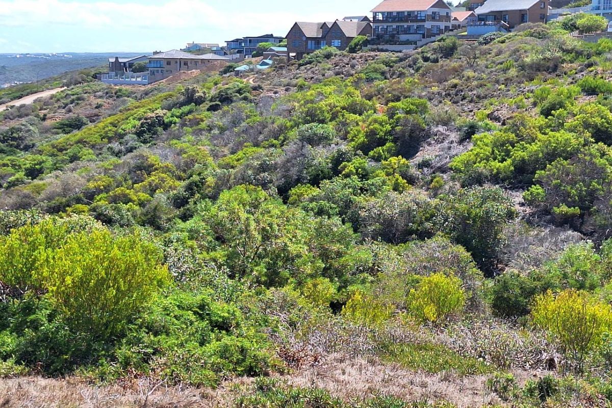 Prime Coastal Canvas: 990m2 with Unobstructed Ocean Views - Photo 5