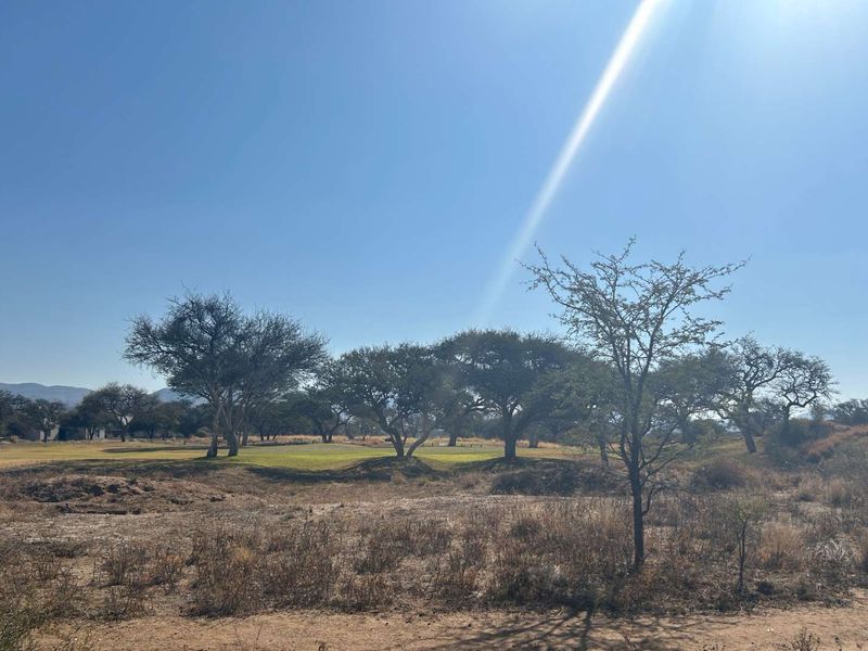 A scenic view of a natural landscape featuring native trees and open terrain, typical of vacant residential land.