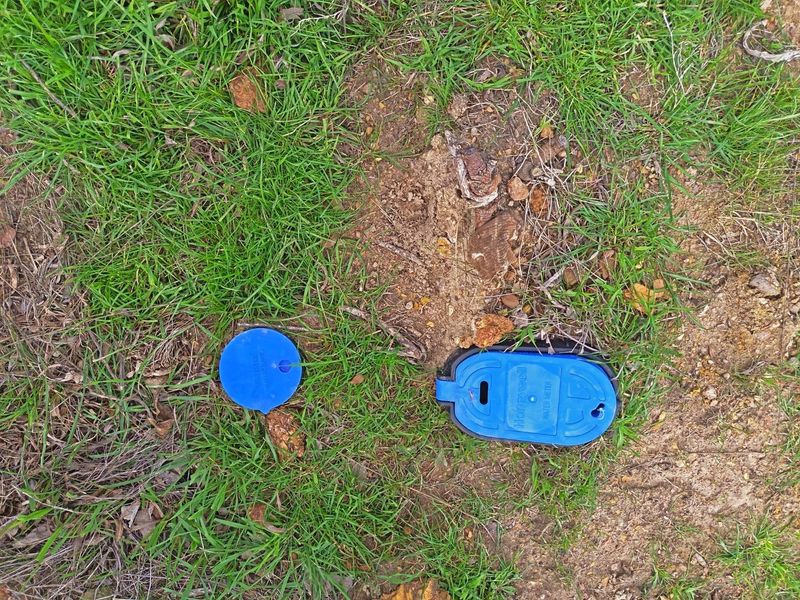 Two for the price of one - Photo 9