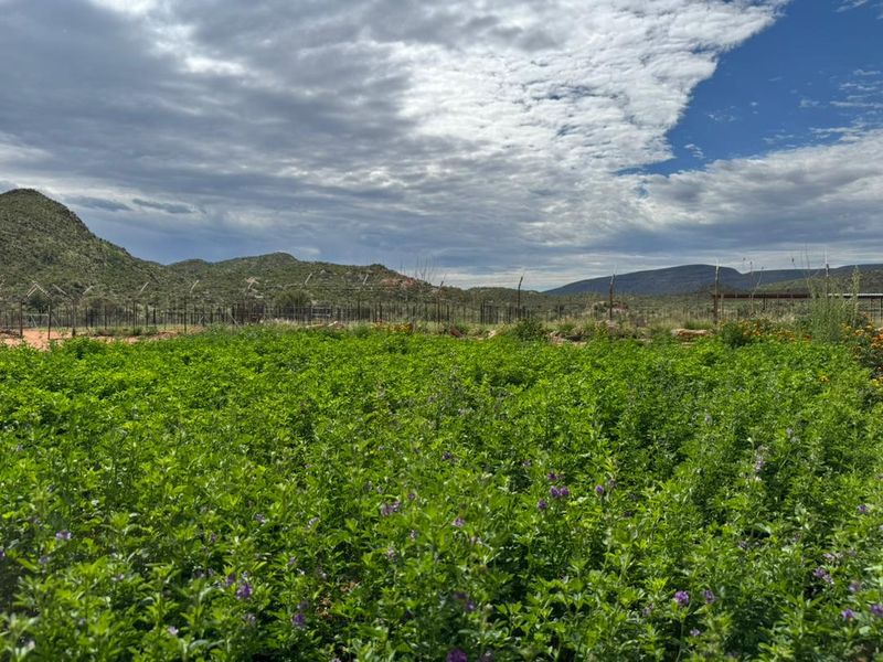 Set amongst the dramatic landscapes of the Khomas Region, the farm offers a unique blend of privacy, natural beauty and self-sufficient living. - Photo 1