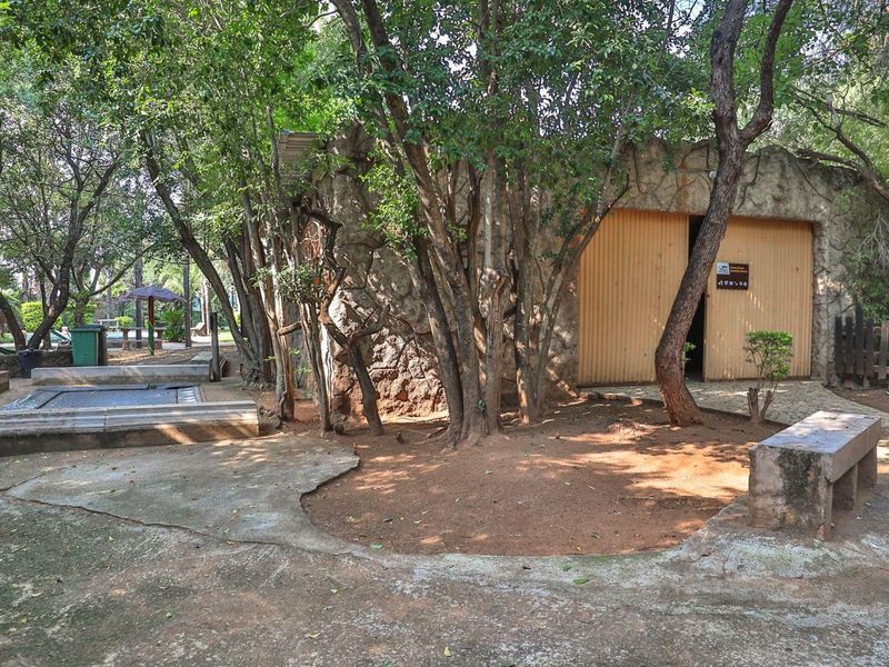 Own a Slice of Bushveld Paradise: Game, Farm, Resort & More! - Photo 5