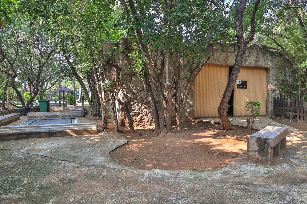 Own a Slice of Bushveld Paradise: Game, Farm, Resort & More! - Photo 5