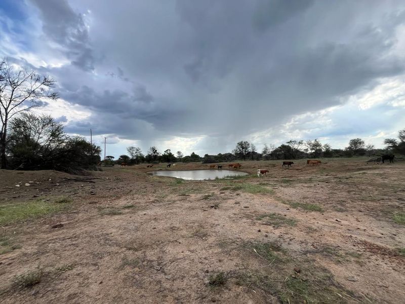 Explore the vast potential of our stunning Hunting Lodge & Cattle Farm! - Photo 9