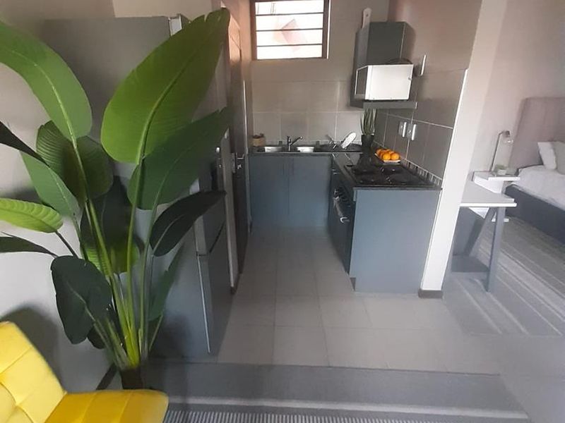 Compact open-plan kitchen area featuring modern grey cabinetry, gas hob, and tiled flooring, seamlessly integrated with the adjacent living and sleeping space.