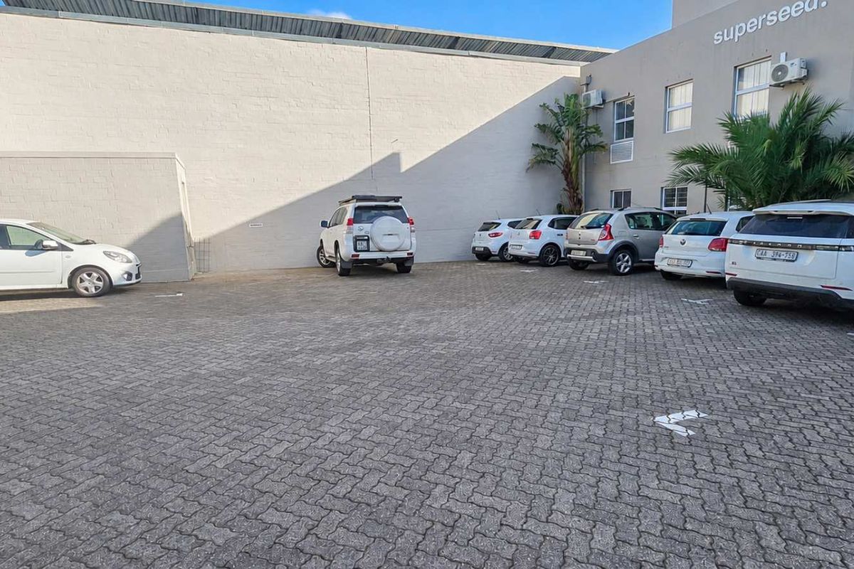 A paved rear parking area serving the office building, featuring designated parking bays and external building infrastructure.