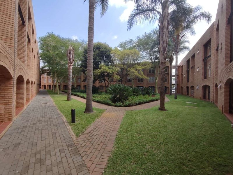 A well-maintained communal garden area featuring brick-paved pathways, mature palm trees, and landscaped greenery between apartment building wings.