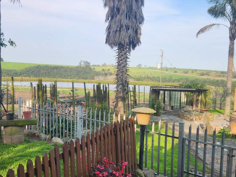 A scenic garden area featuring established palm trees, stone seating, and metal fencing, overlooking a rural landscape with a pond in the distance.