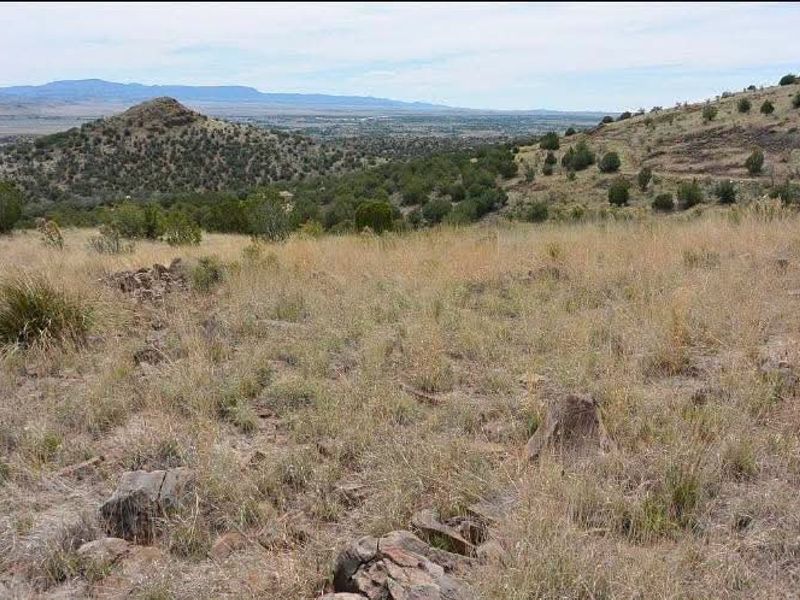 Guest farm for sale - Photo 1