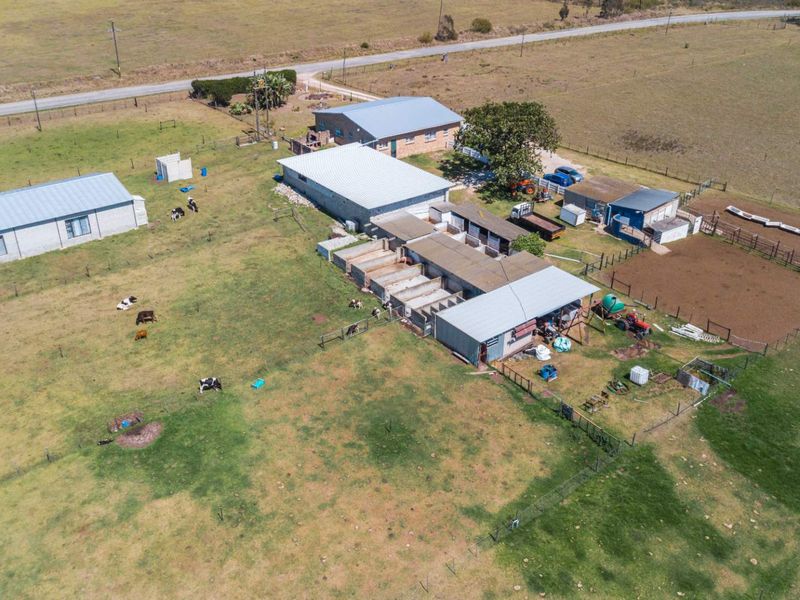 Dairy Farm for Sale, Eastern Cape - Photo 2