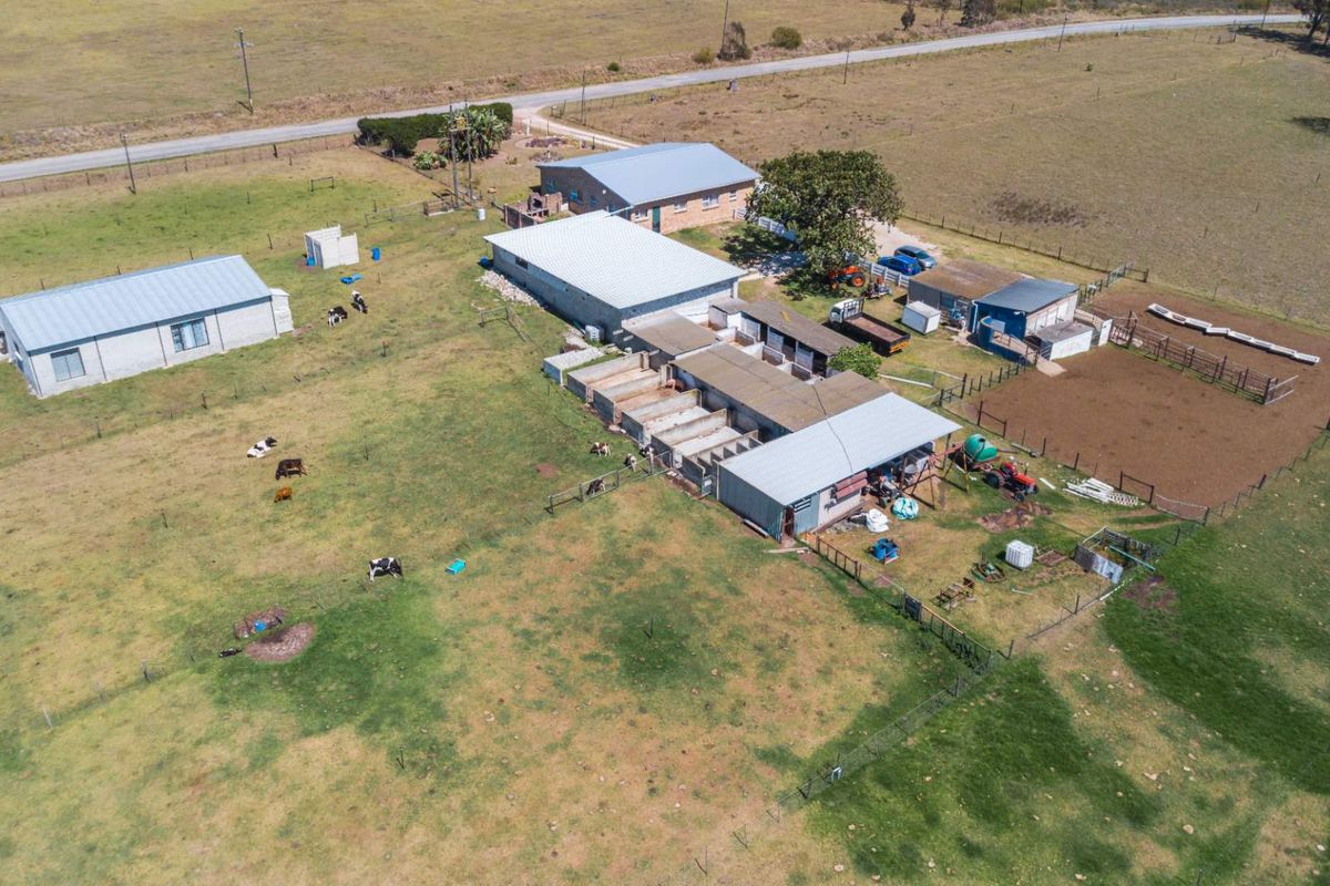 Dairy Farm for Sale, Eastern Cape - Photo 2