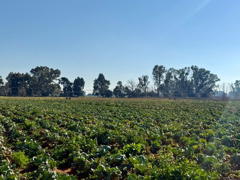 Farm Just Outside Town with Valuable Water Rights - Photo 5