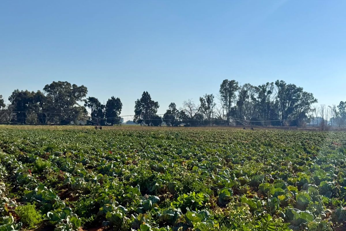 Farm Just Outside Town with Valuable Water Rights - Photo 5
