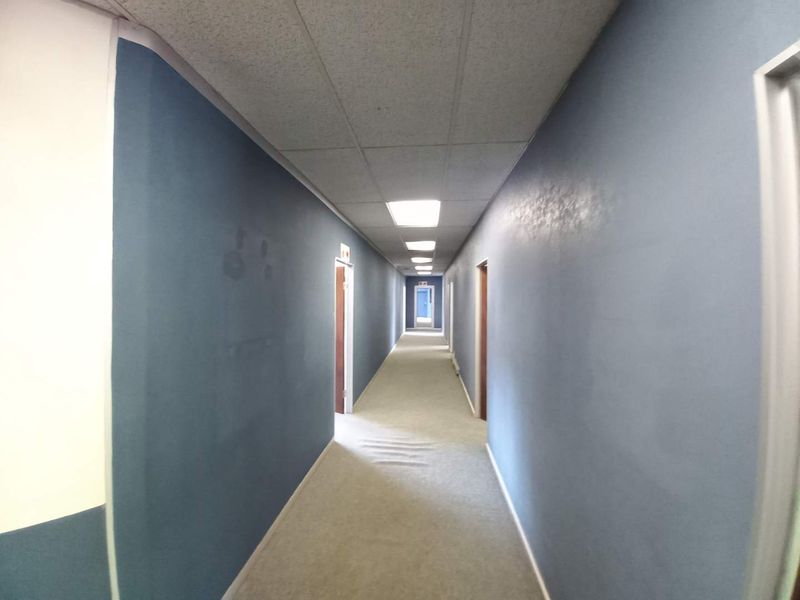 A long office corridor featuring a suspended acoustic ceiling with recessed lighting, blue painted walls, and carpeted flooring leading to an exit.