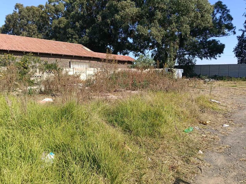 URGENT BUSINESS PROPERTY  FOR SALE IN ELOFF, DELMAS - Photo 5