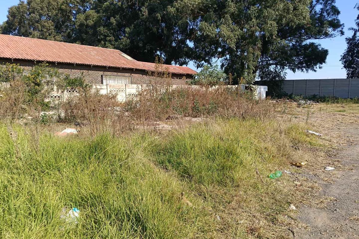 Exterior view of a property lot featuring overgrown vegetation, a brick building with a tiled roof, and a perimeter boundary wall.
