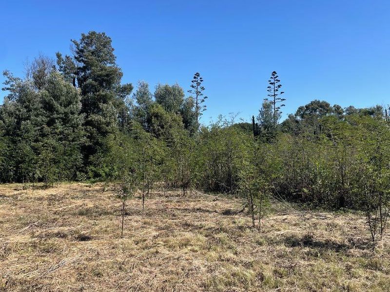 Land For Sale!! - Photo 2