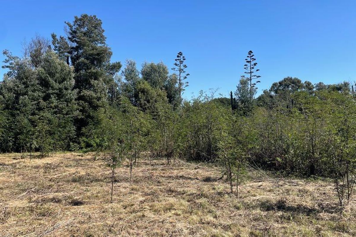 Land For Sale!! - Photo 2