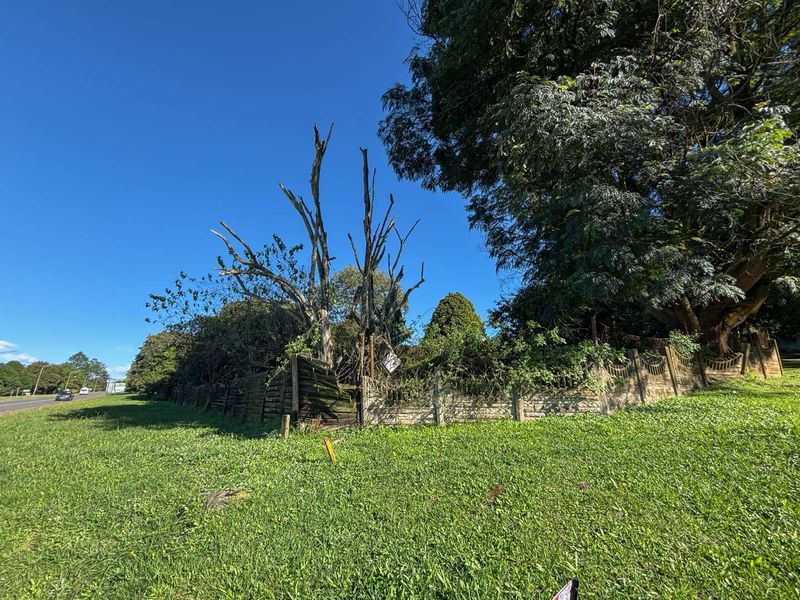 Prime Opportunity on Howick’s Main Artery - Photo 6