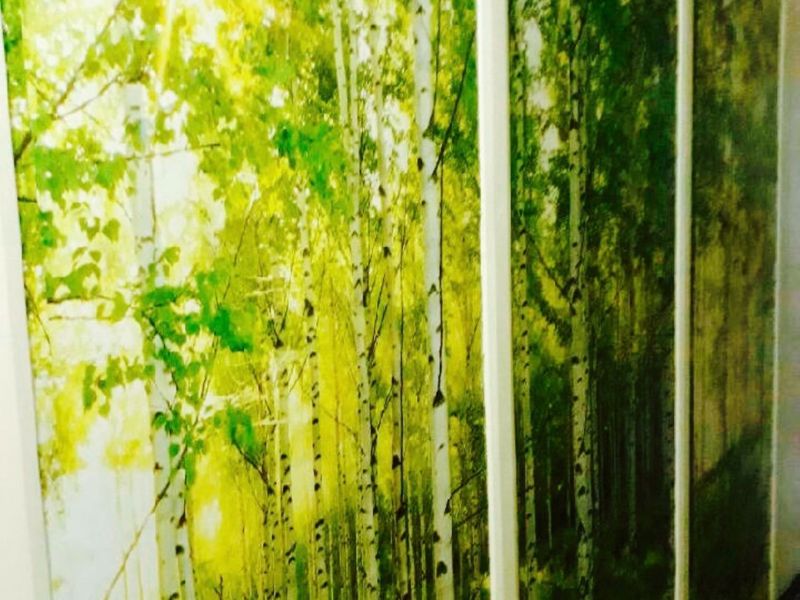 Farm for Sale - Photo 4