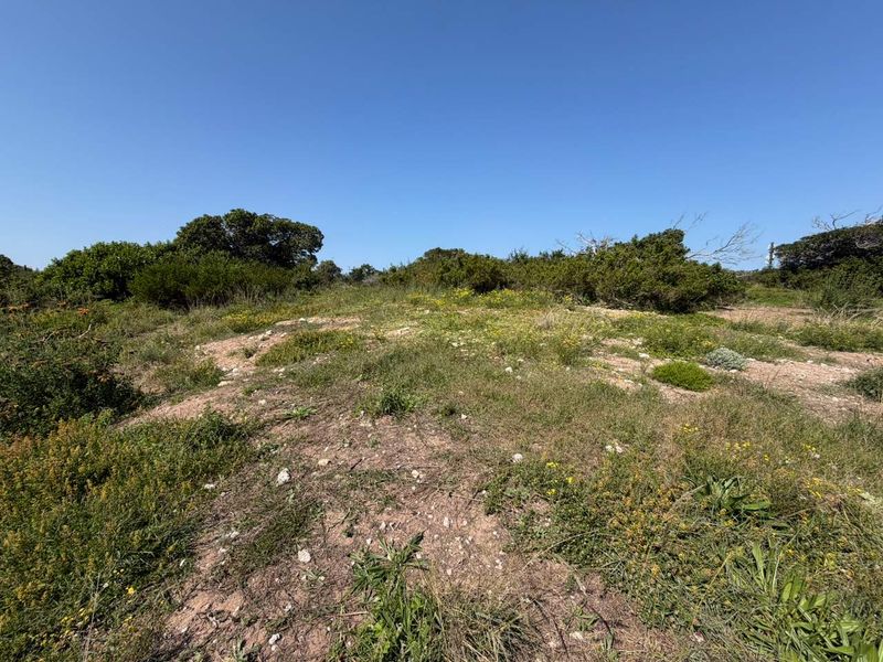 A view of the natural, undeveloped residential land featuring native vegetation and uneven terrain under a clear blue sky.