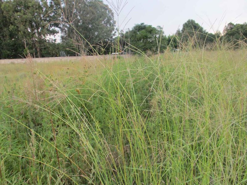 Enjoy the tranquility of Henley - Photo 3