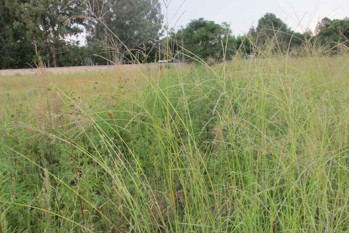 Enjoy the tranquility of Henley - Photo 3