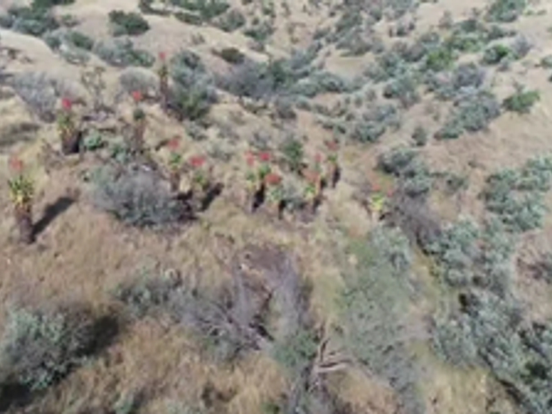 Plot For Sale Close to Windhoek - Photo 4