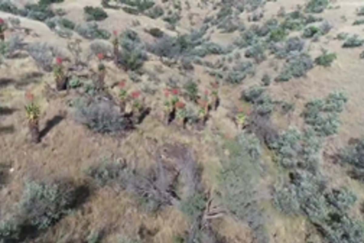 Plot For Sale Close to Windhoek - Photo 4