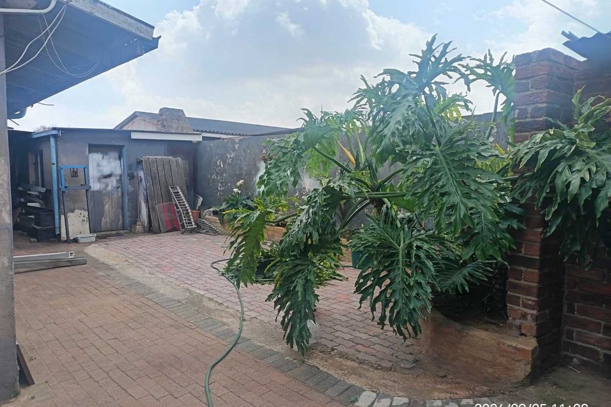 A rear exterior area featuring brick paving and a boundary wall, showing signs of significant weathering and maintenance requirements.