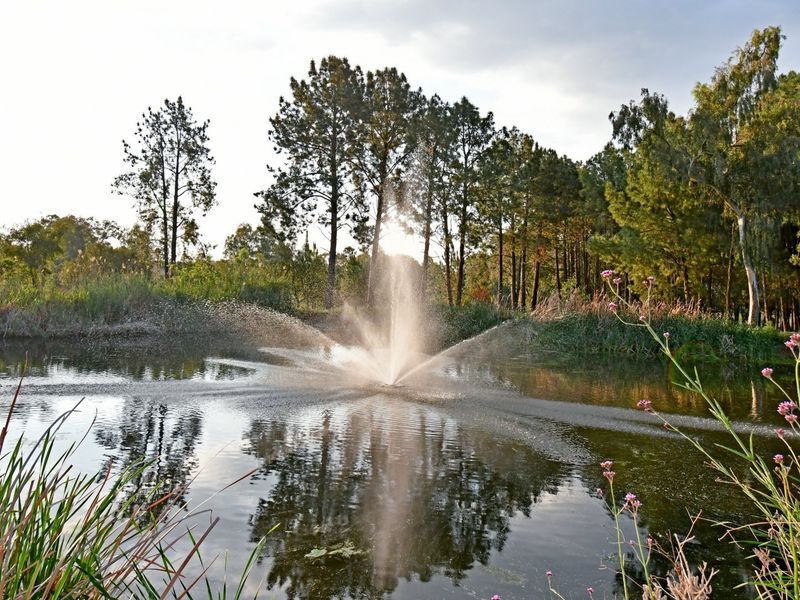 A scenic view of a tranquil pond featuring a central water fountain surrounded by mature trees and natural landscaping.