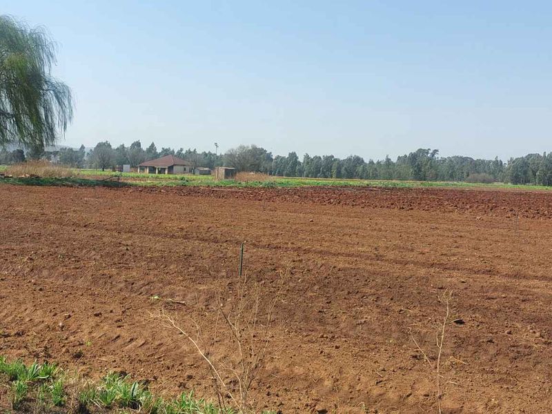 Thriving Vegetable Farm in Eikenhof for sale - Photo 9