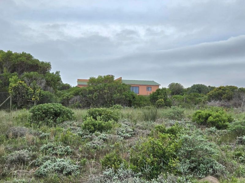 Elevated Stand with Excellent Investment Potential - Photo 10