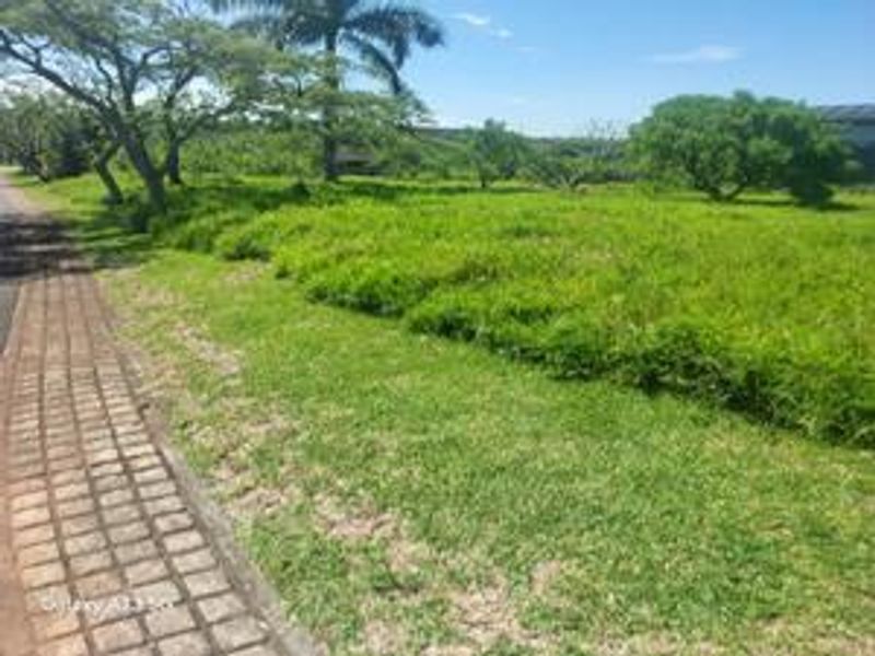 Vacant Land For Sale in Palm Lakes Estate - Photo 3