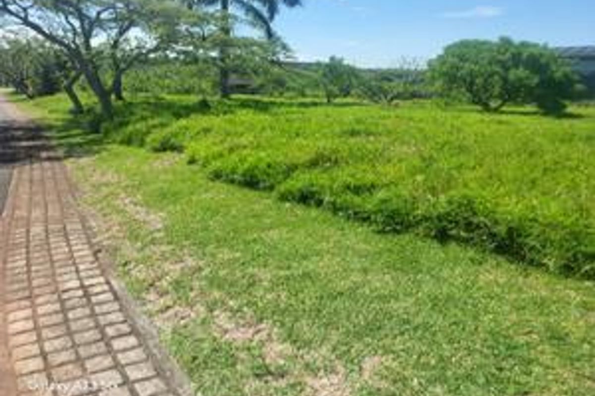 A view of a well-maintained residential plot featuring a paved walkway, lush green lawn, and mature trees.