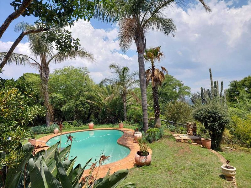 A landscaped garden featuring a kidney-shaped swimming pool with brick coping, surrounded by mature palm trees and established greenery.