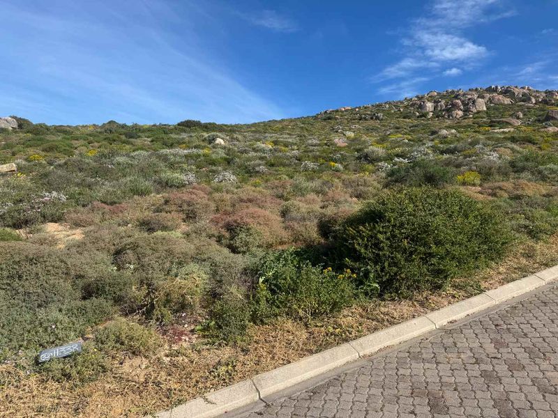 Elevated Coastal Stand for Sale – St Helena Views Phase 2 - Photo 5