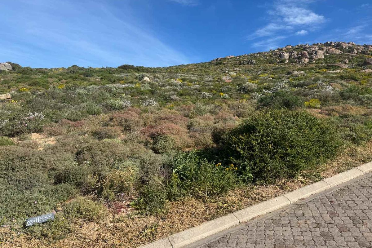 Elevated Coastal Stand for Sale – St Helena Views Phase 2 - Photo 5
